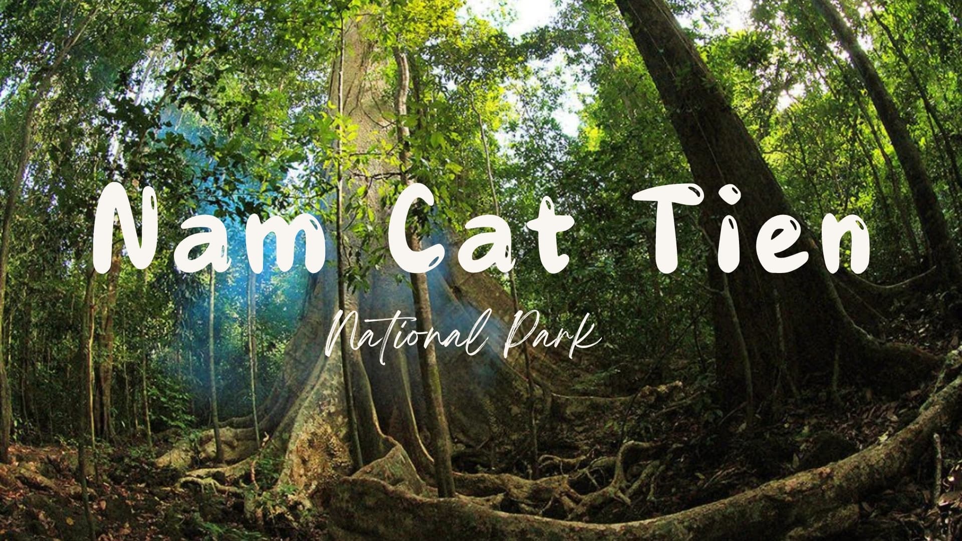 TOUR NAM CÁT TIÊN 1 NGÀY KHỞI HÀNH TỪ HỒ CHÍ MINH - ảnh 2
