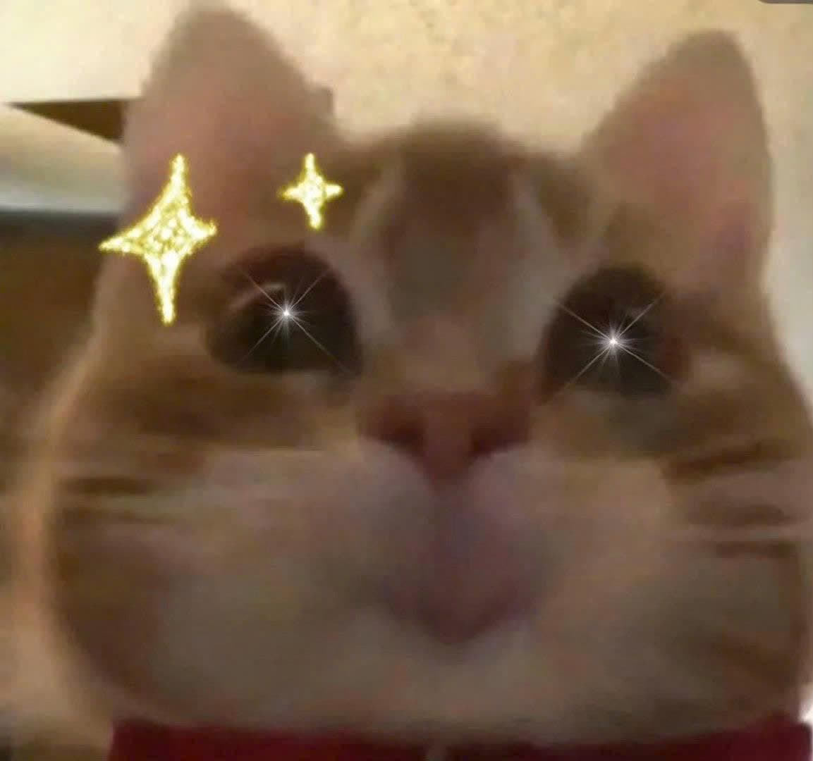 Ta chưa chia ly