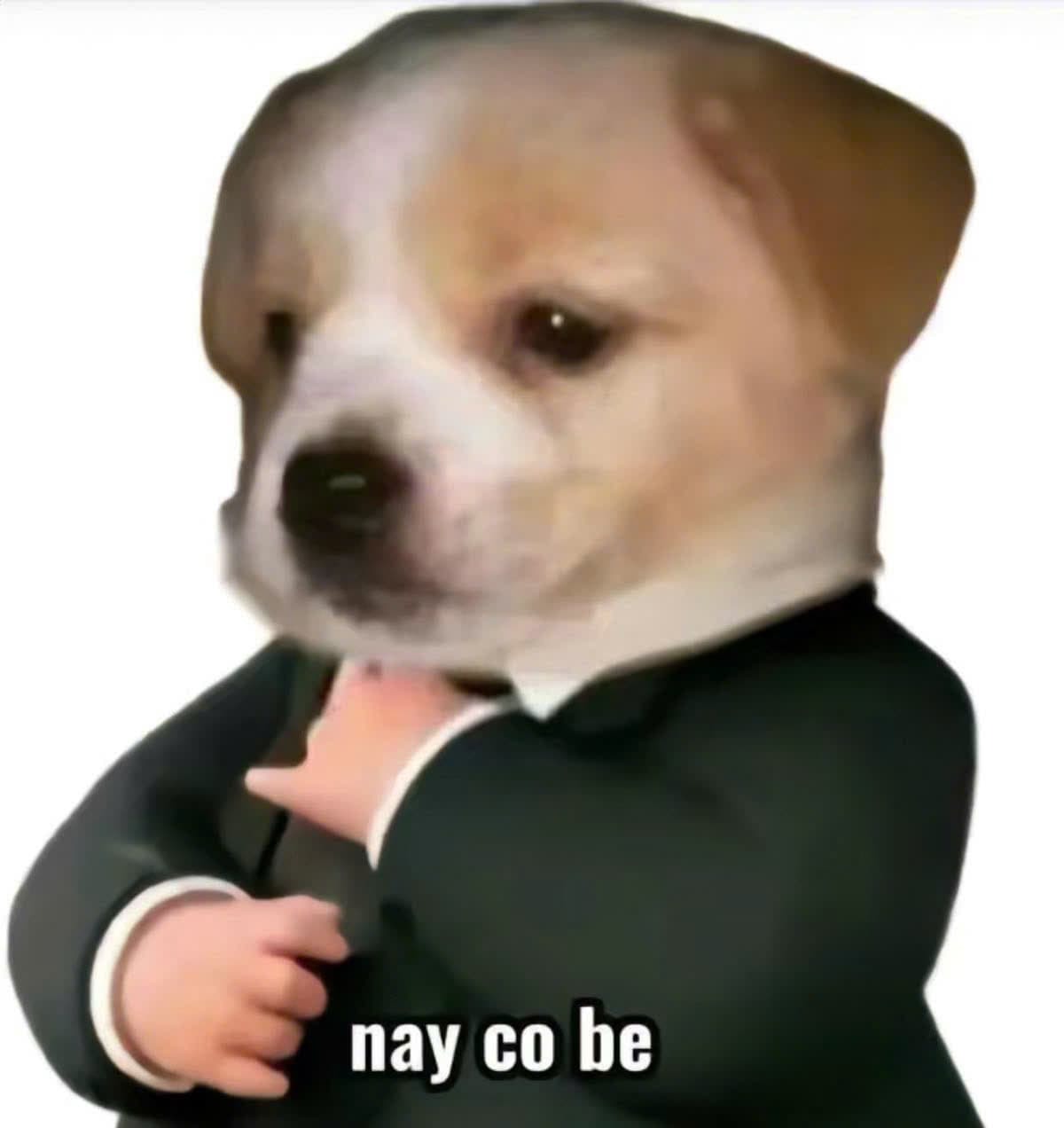 Vía Bà Chúa Xứ Núi Samdfgdfgsdf