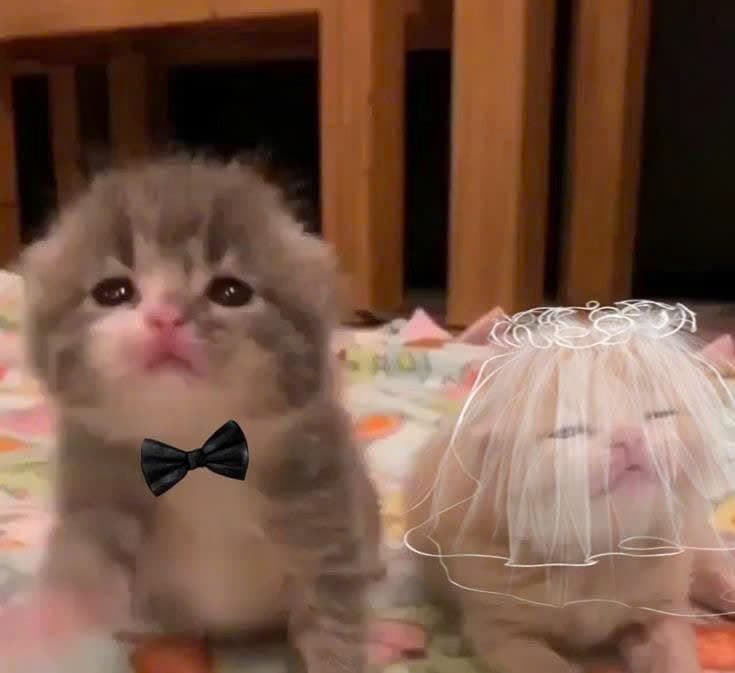 Vía Bà Chúa Xứ Núi Sam